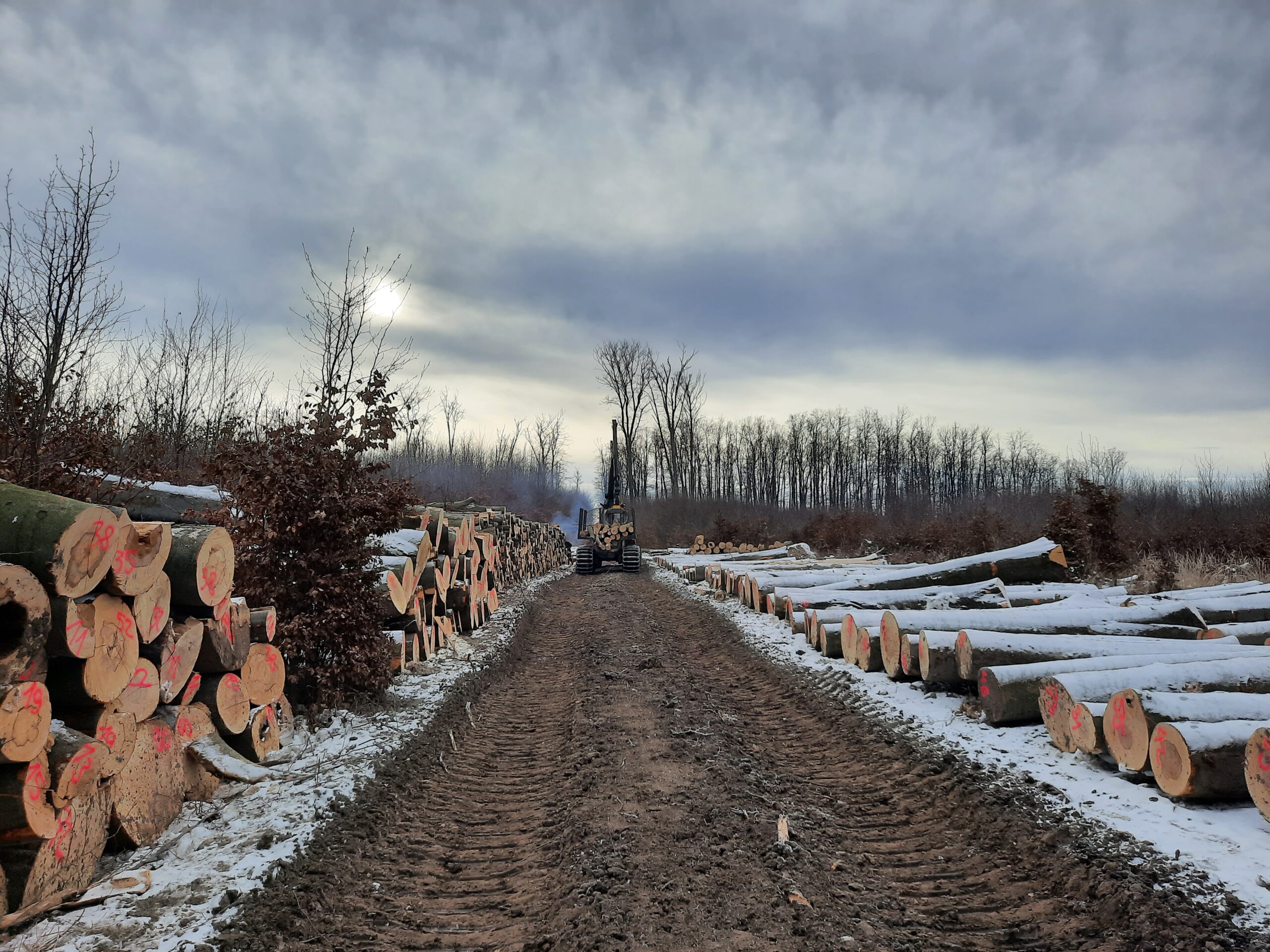 Hóban, fagyban a legjobb