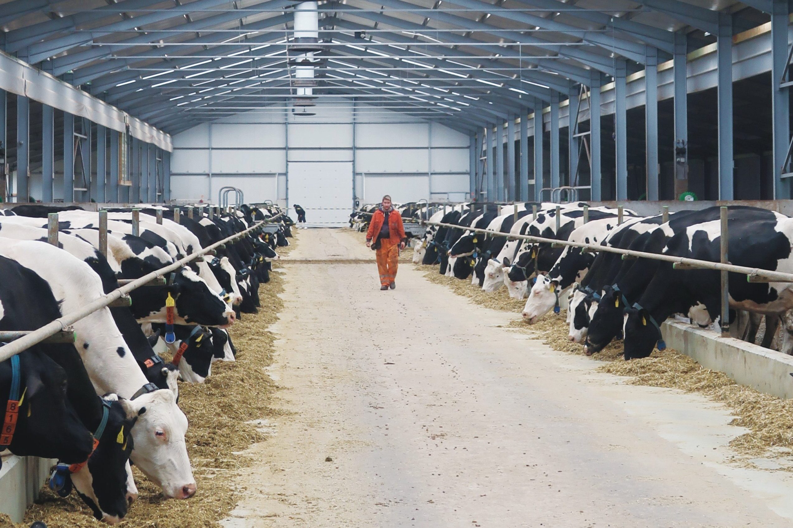 Életmentő teleprekonstrukció Biharnagybajomban