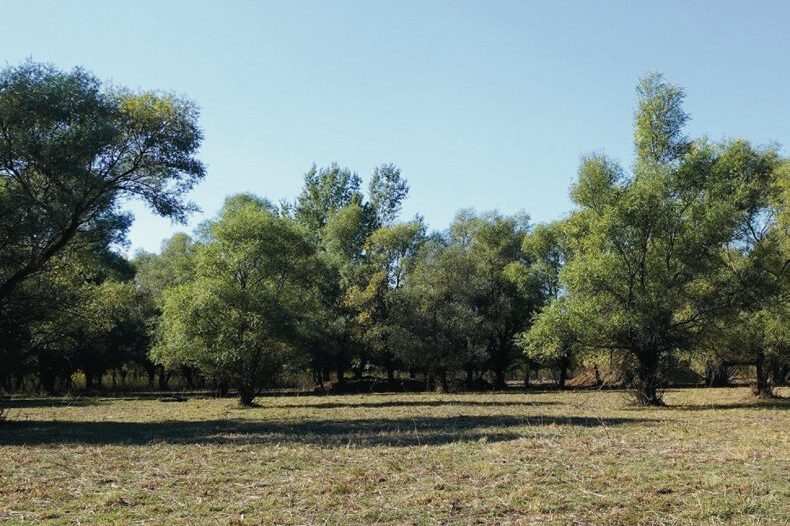 Alkalmazkodni kell a helyi adottságokhoz