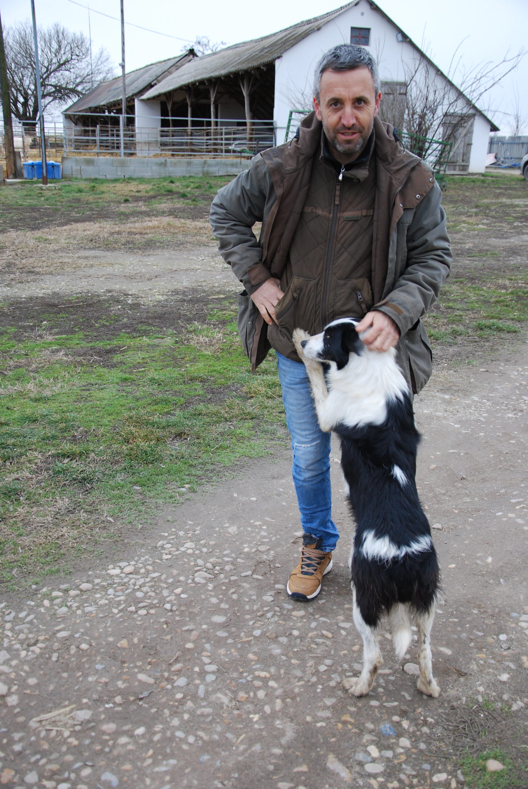 Nagy Péter, a Kiskunsági Charolais Majorságtulajdonosa és Horog Annamáriától vásárolt kutyája