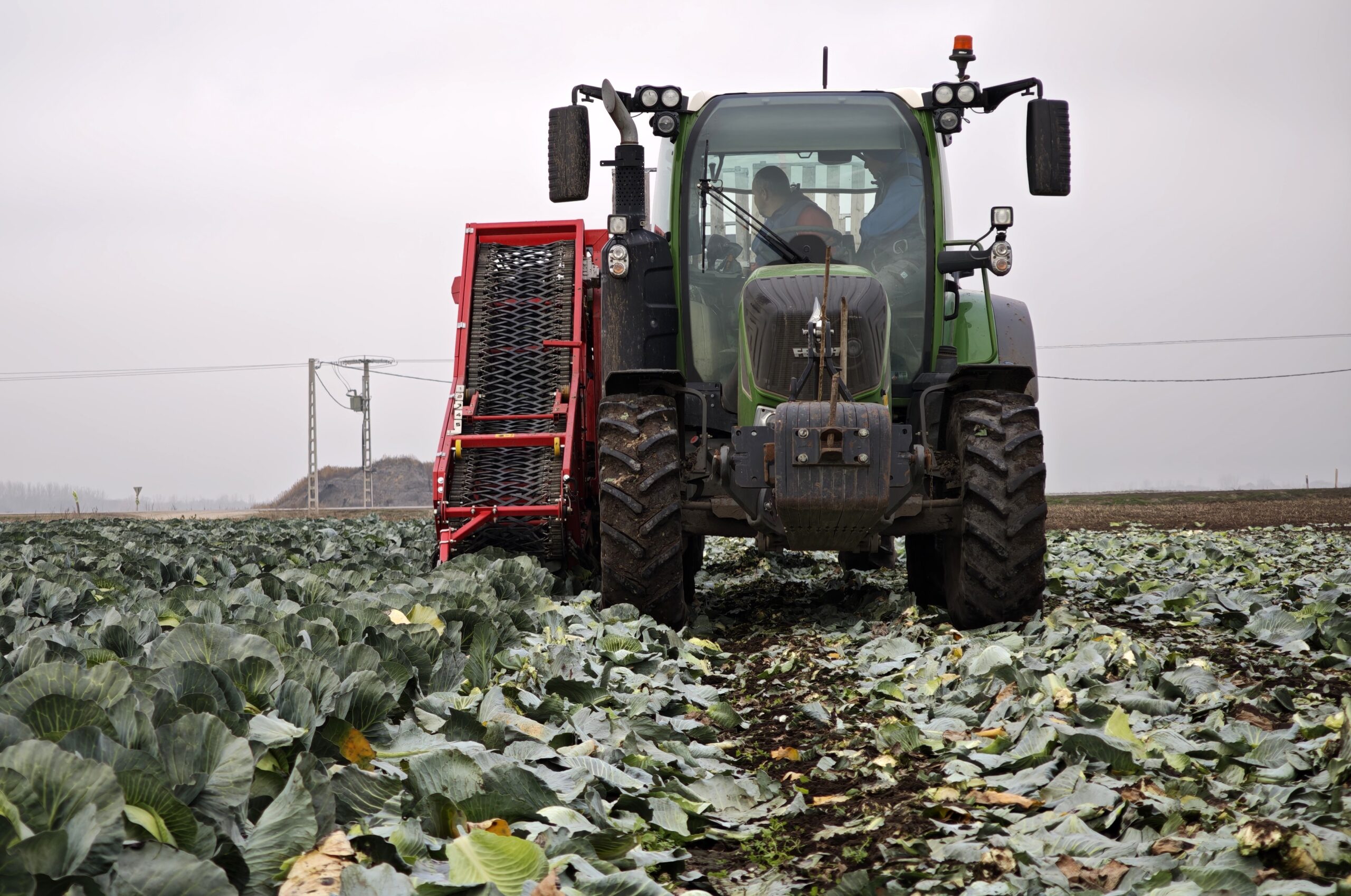 Betakarítás hajolgatás nélkül