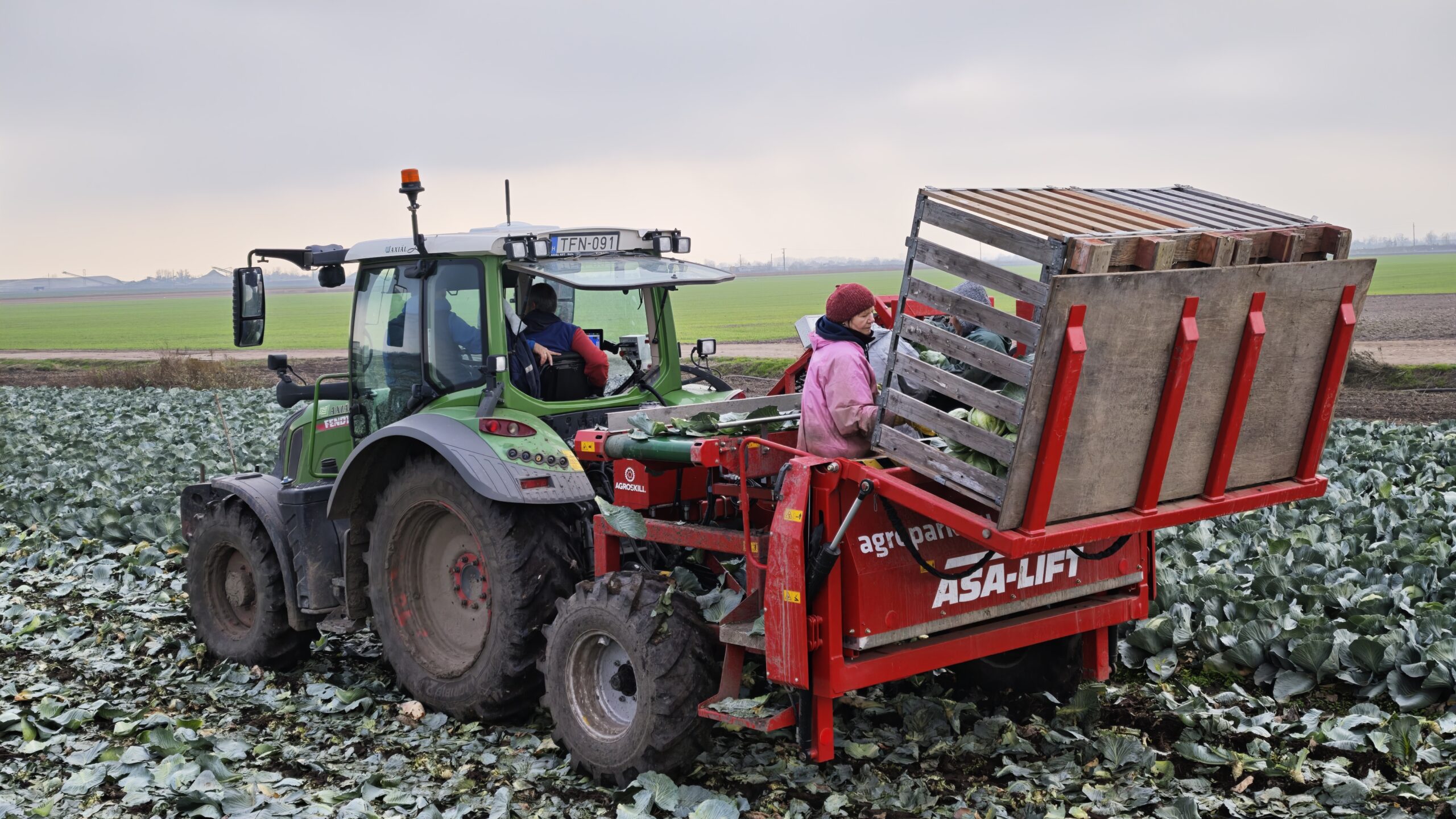 személyzet a megdöntött tartályokbateszi a káposztát, nem kell hajolgatniuk