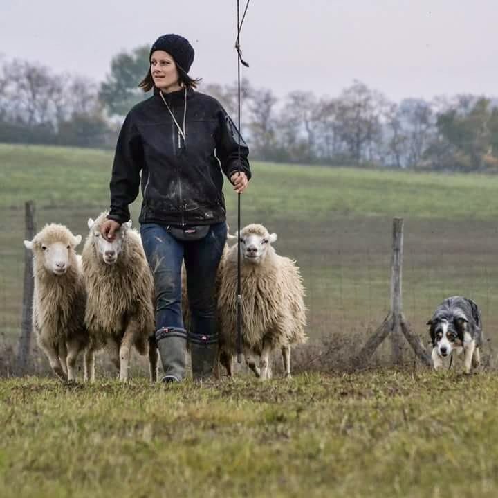 Horog Annamária munkája szenvedélybőlszületett, ami olykor igen nagy kihívásokat jelent