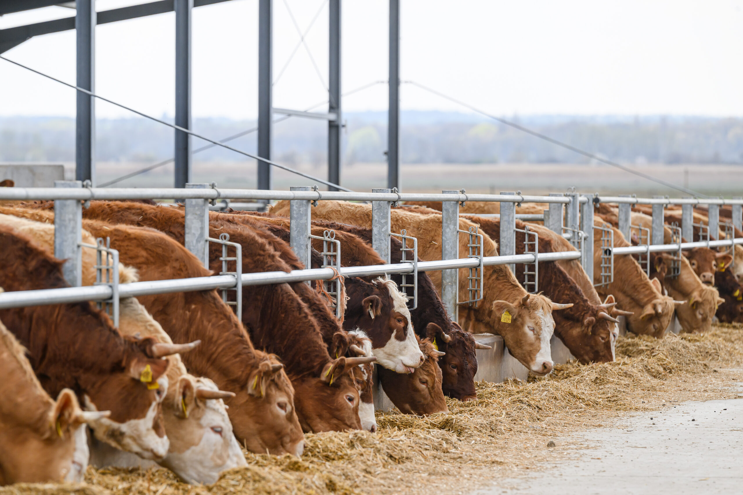 A lényeg: haszonnal termelni