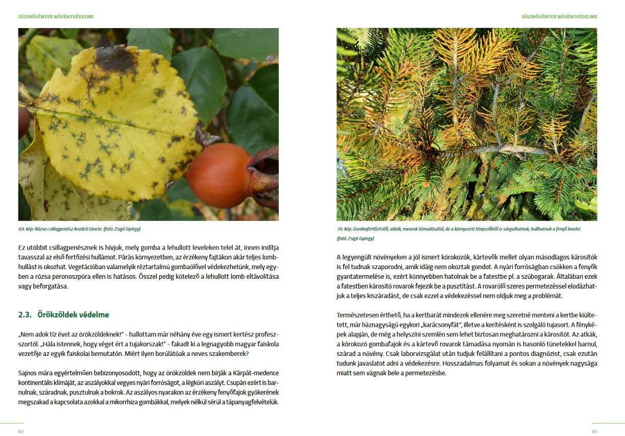 NAK-disznovenyek_konyv