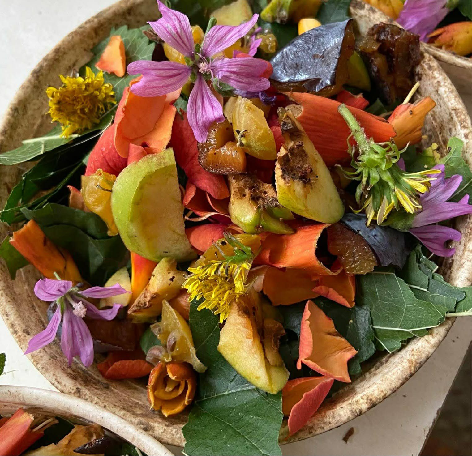 Összekészített tál növényevő hüllők