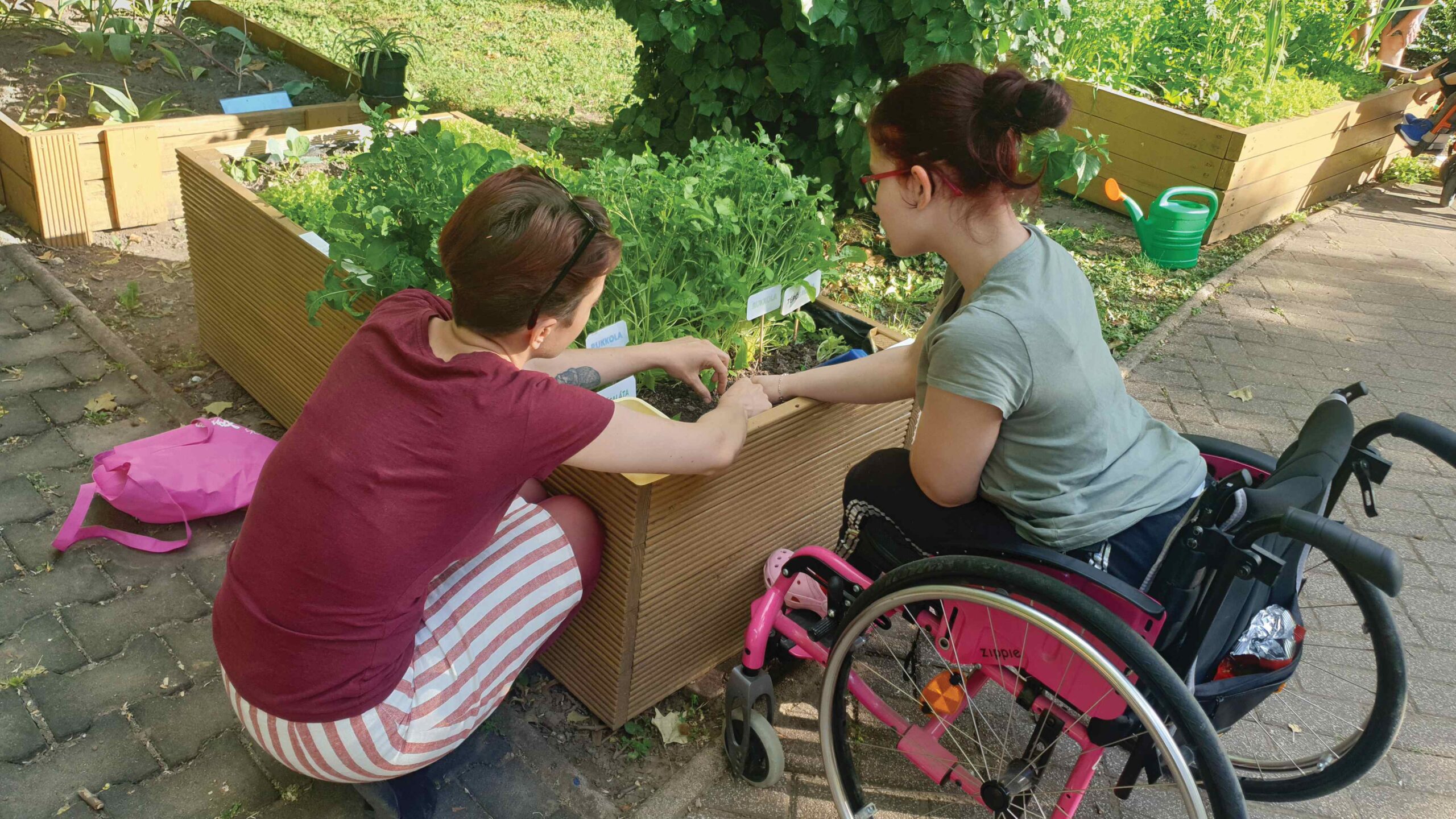 Hortus Medicus – Terápiás kertművelés