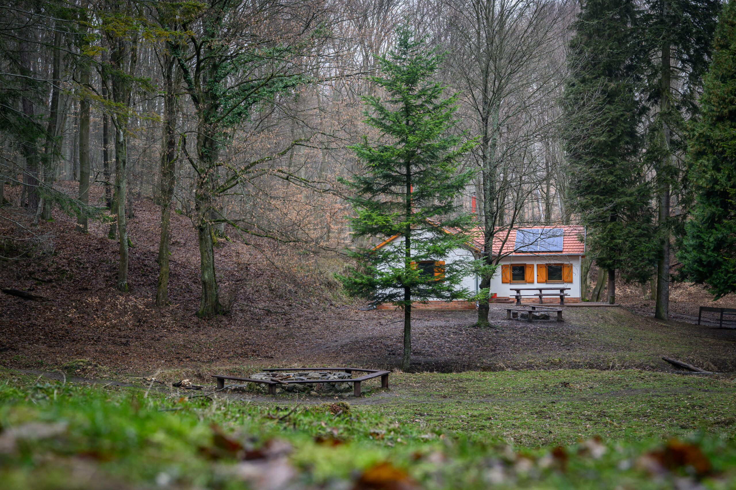 Sparhelten készült vadragu a Mecsek mélyén