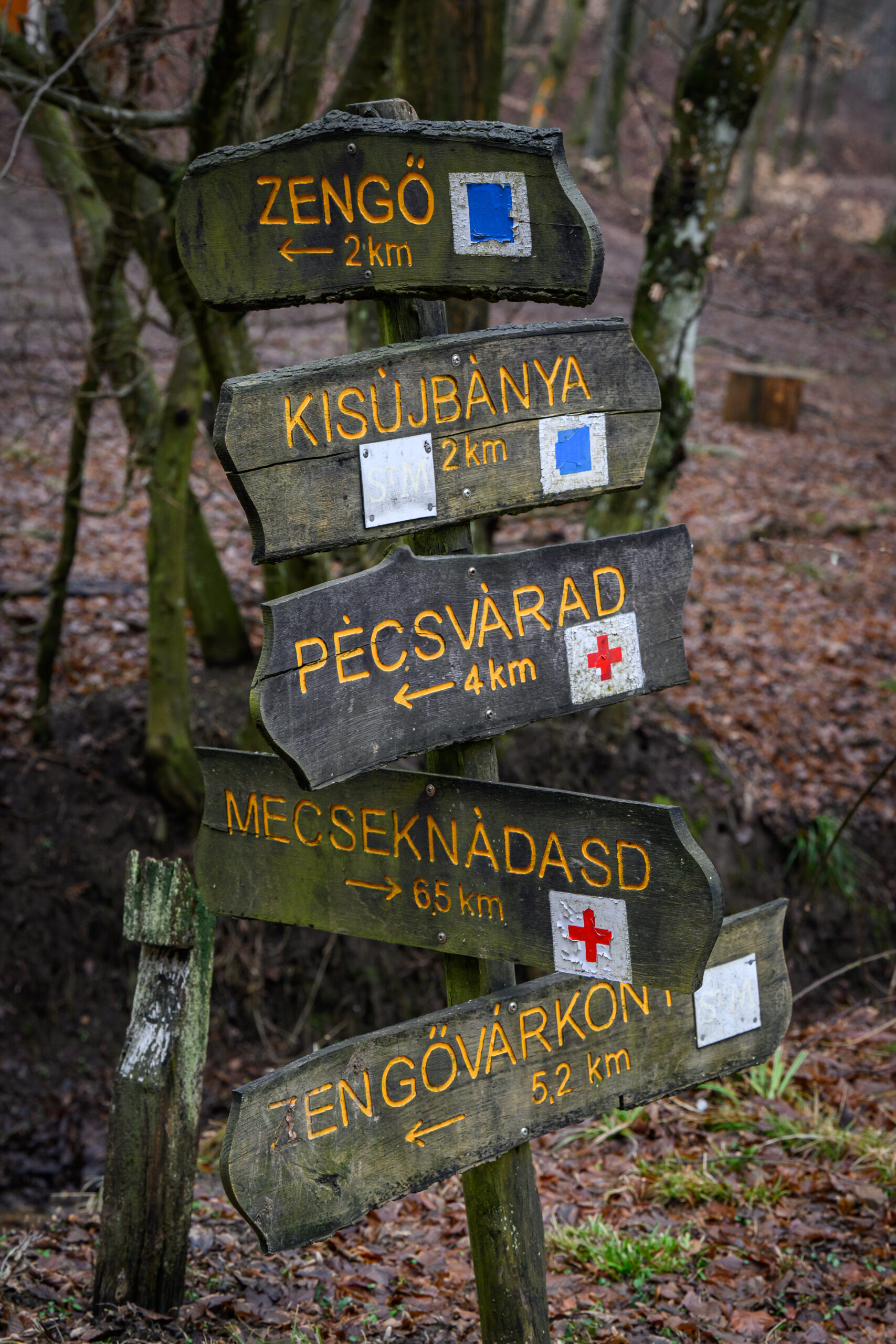 mecsek mecsekerdő erdészet túrázás