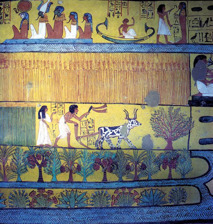 Aratás rajza Szennedzsem sírkamrájából,a csatornák partján datolya- és dumpálmákkal, szikomorfákkal (Kr. e. 1300 körül, Deir-el-Medine, Théba)