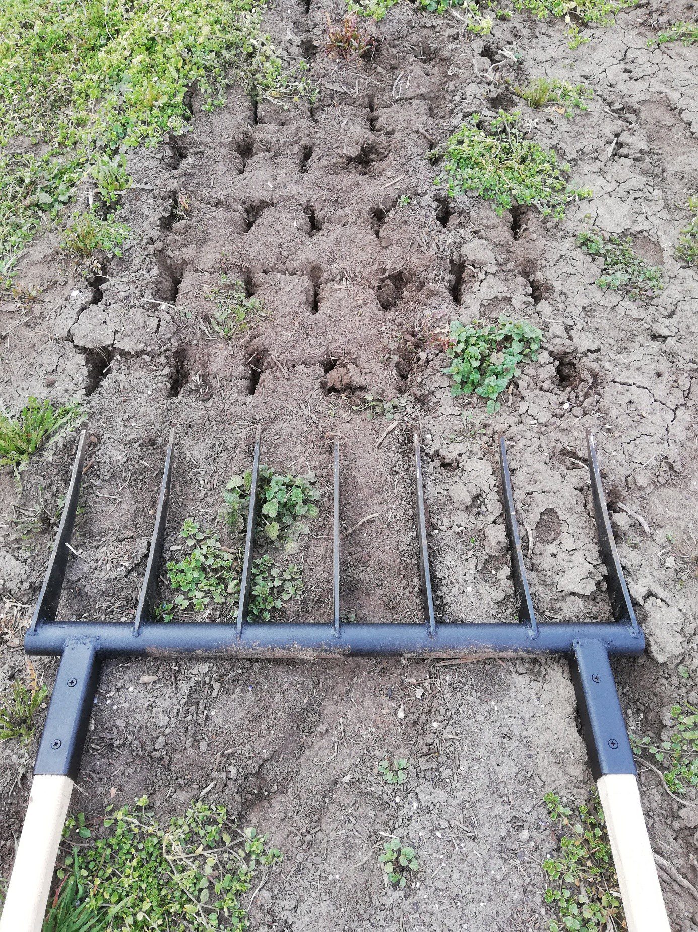 Az ágyásvilla csak lazítja,szellőzteti a talajt, nem forgatja