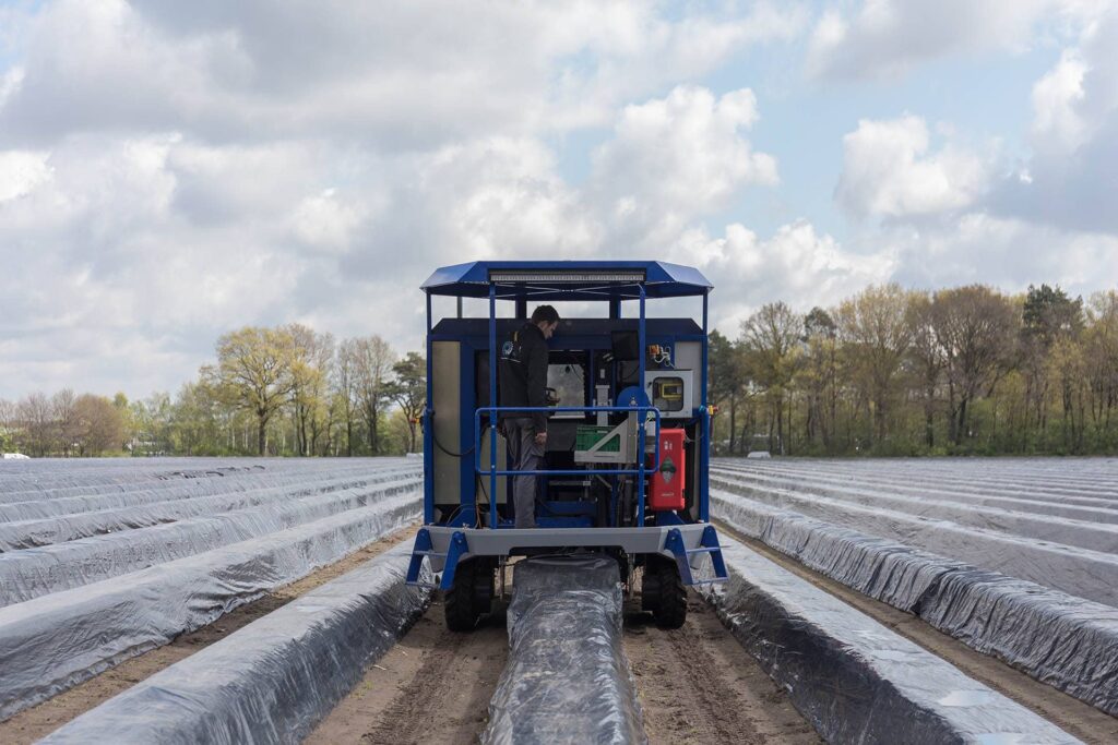 Robotizált spárgaszüret?