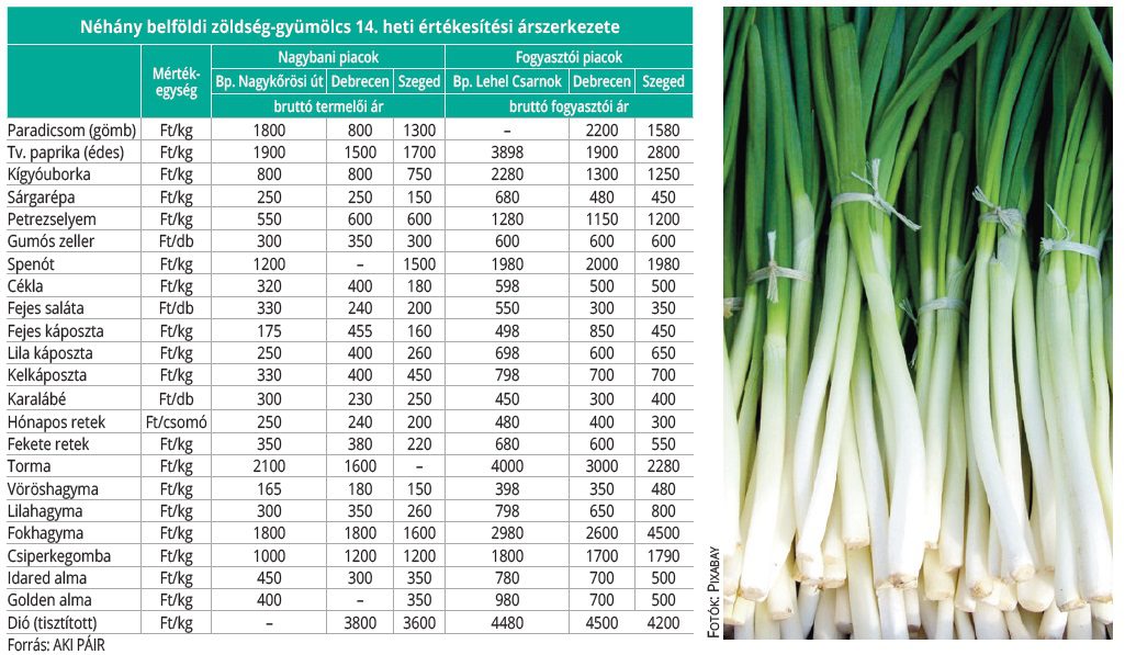 beldoldi_zoldseg_gyum_2026_14