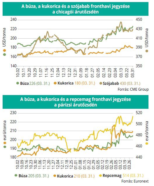 buza_gabona_tozsde_2026_03-31