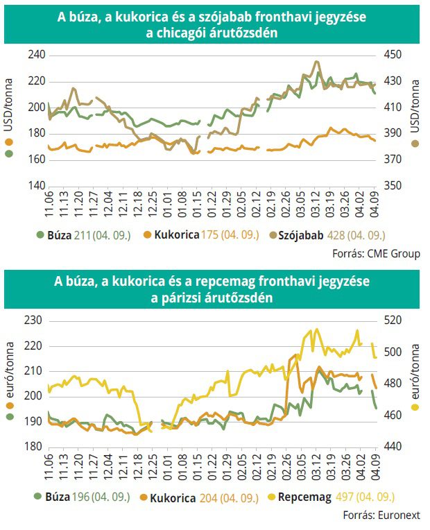buza_kukorica_tozsde_2026_16