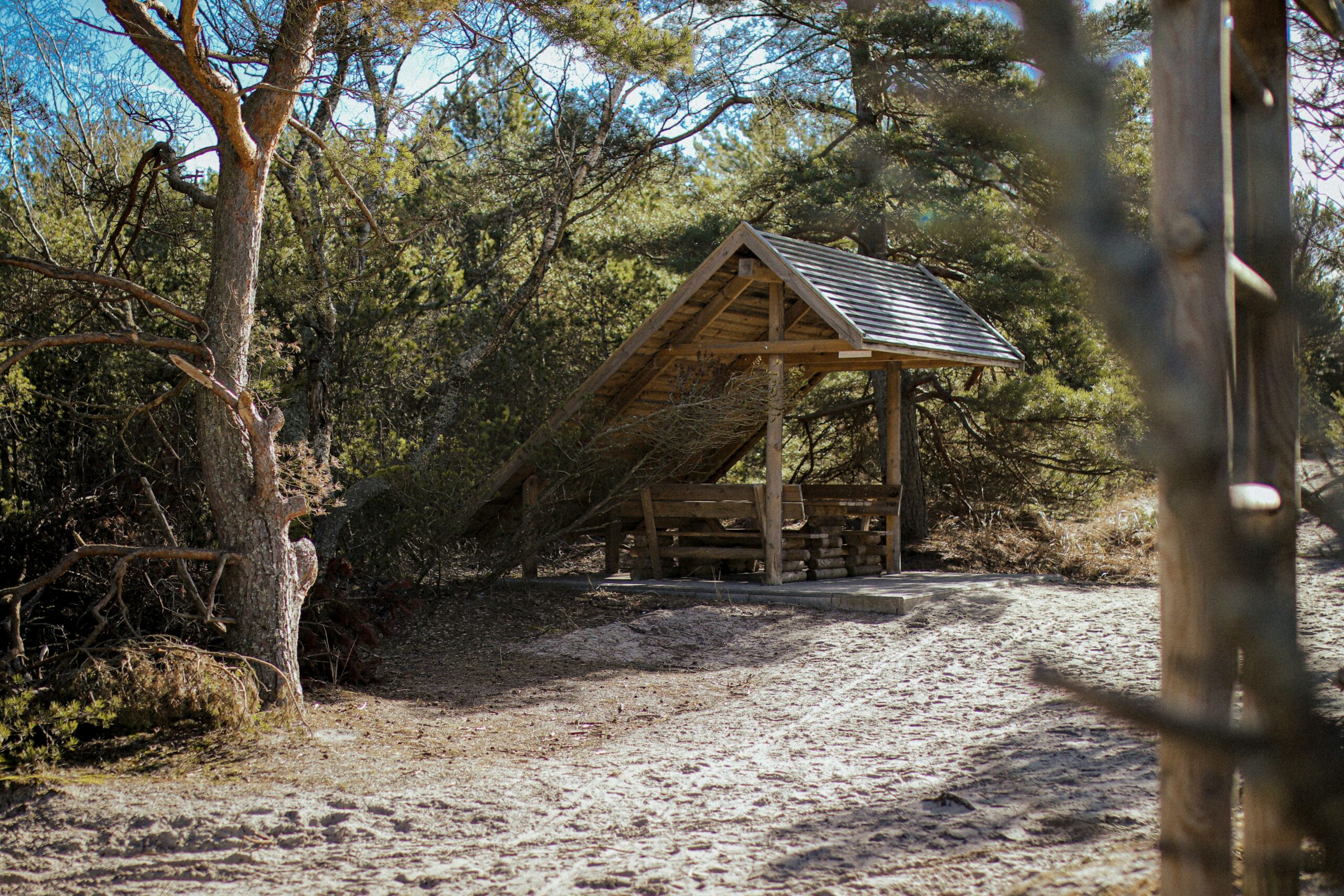 Tájhasználati dilemmák a homokhátságon