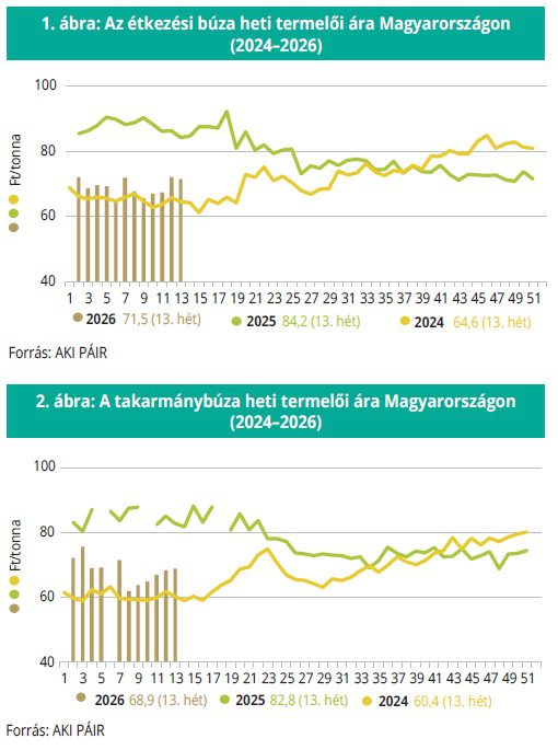 etkezesi_buza_2026_15