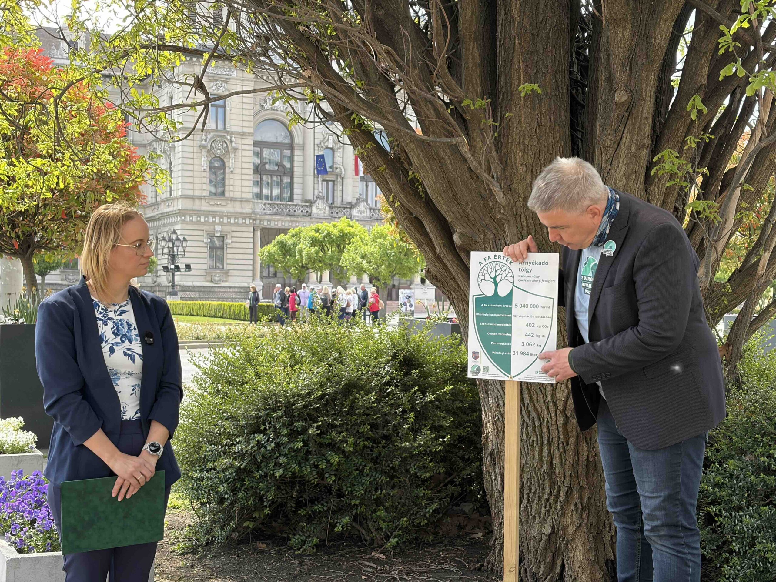 Mostantól bárki kiszámíthatja, mennyit ér egy fa