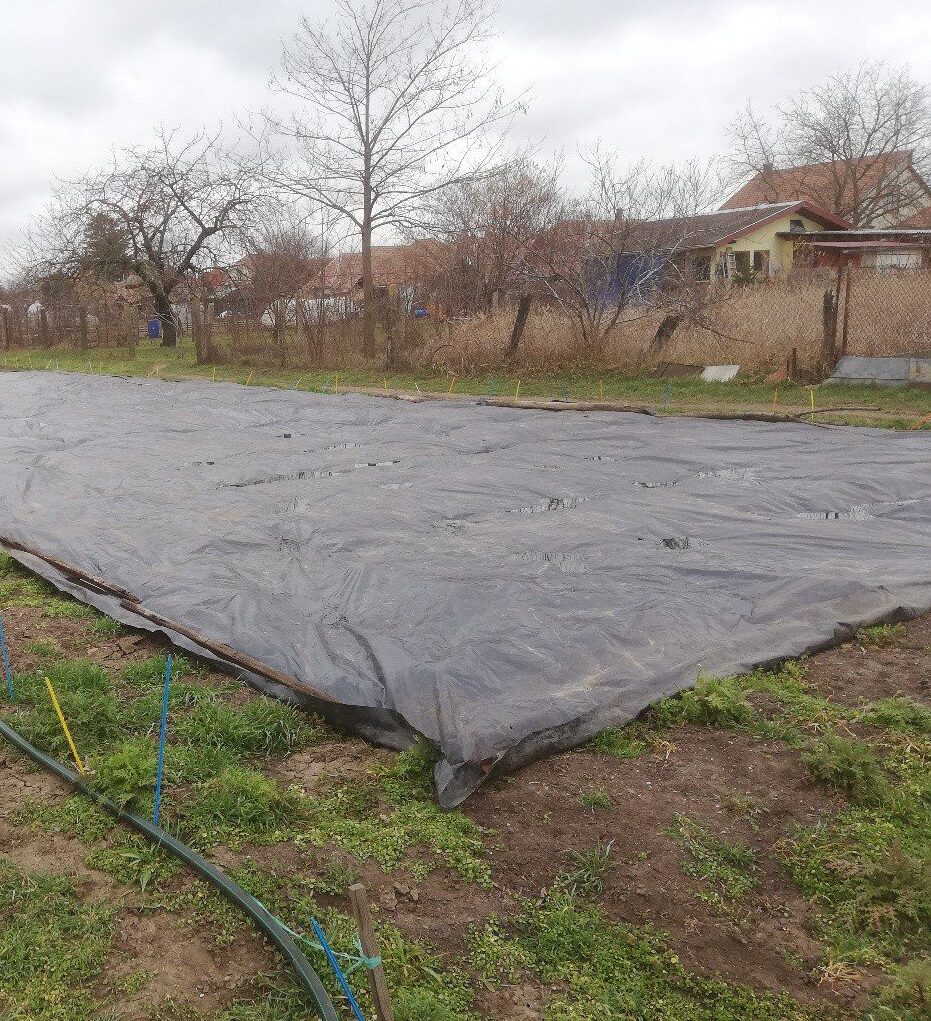 Kora tavaszi tennivalók a bioszemléletű házikertben