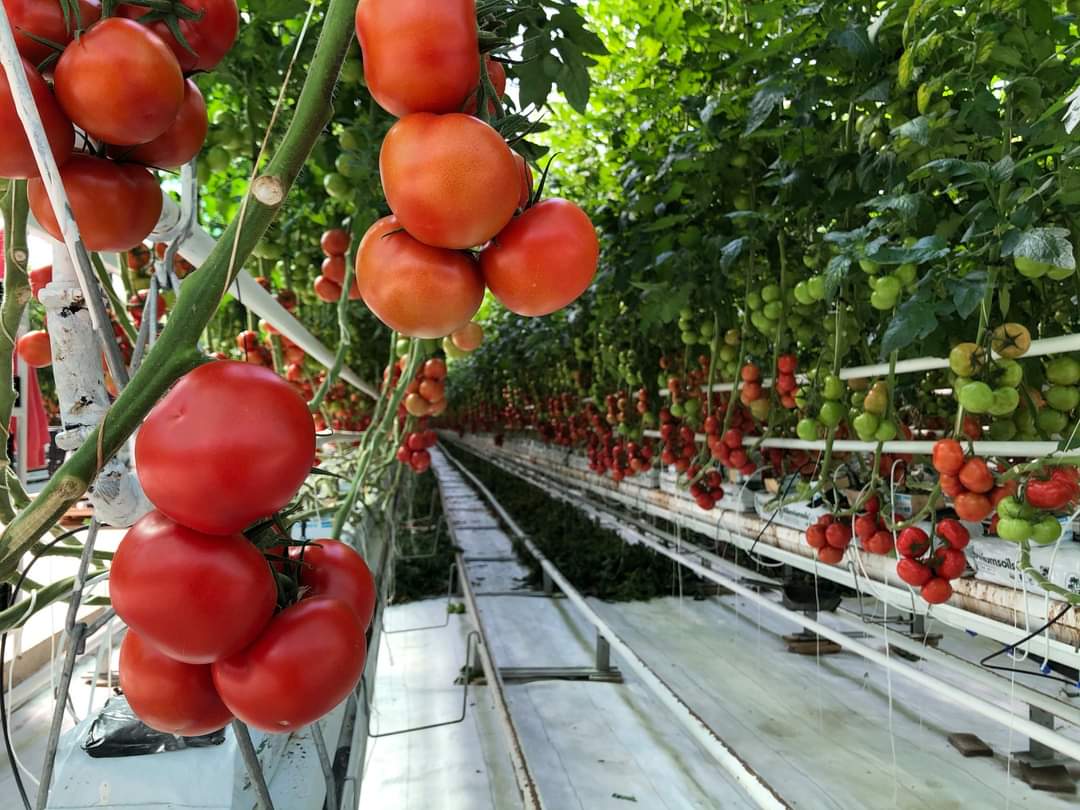 Apáról fiúra: a generációváltás sikerei, próbatételei