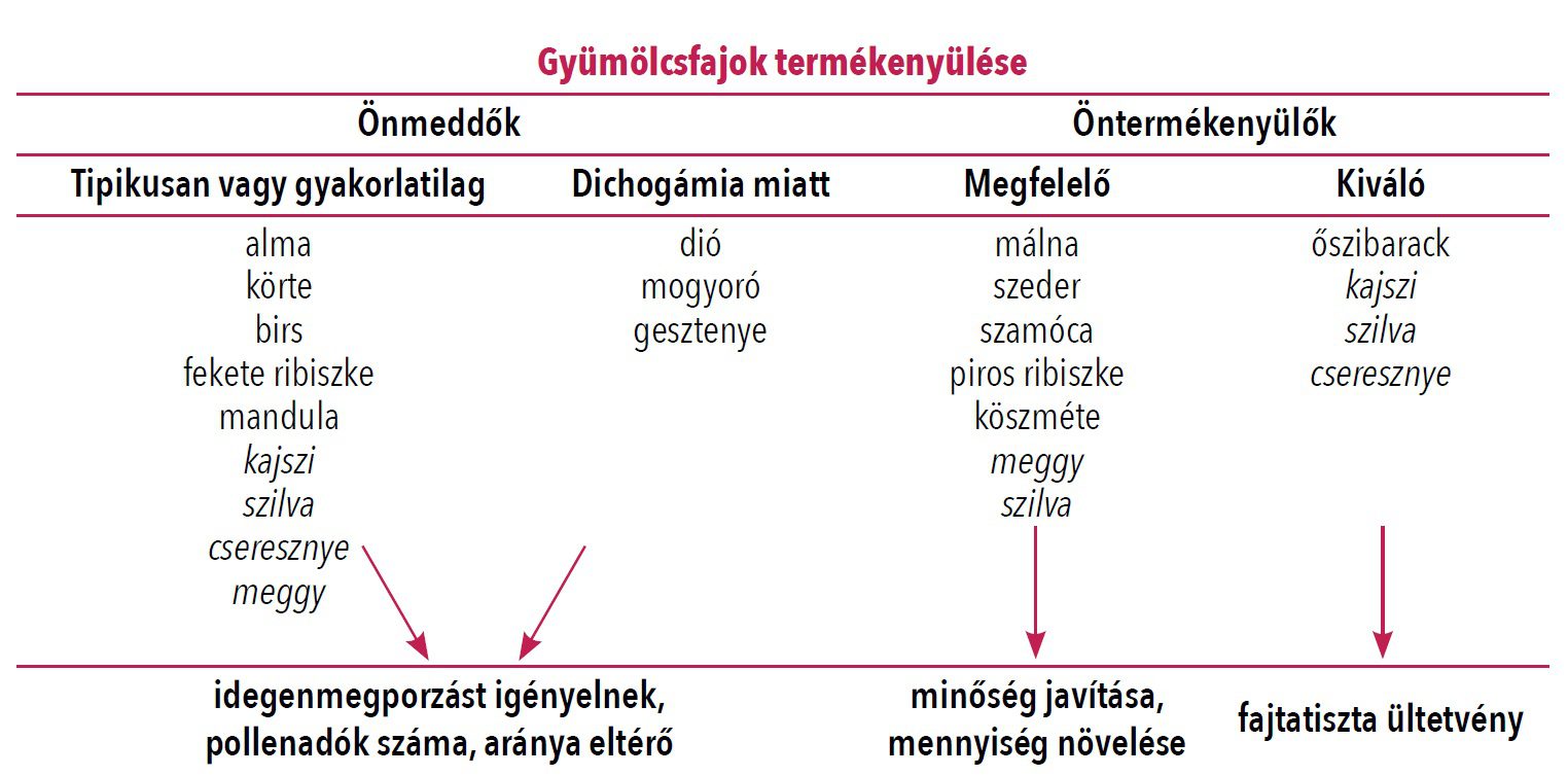 gyümölcsfajok termékenyülése