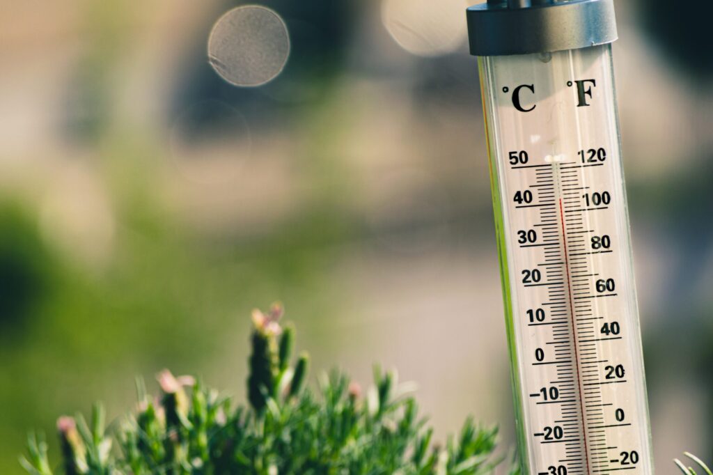 hőmérő nyár időjárás meleg kert forróság globális felmelegedés klímaváltozás