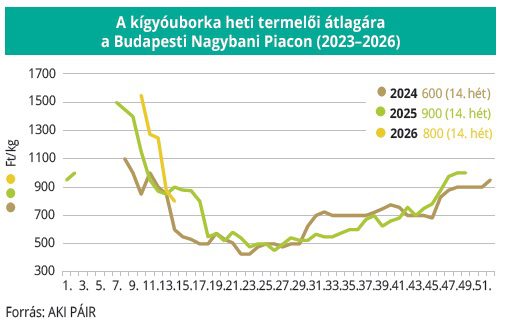 kigyouborka_nagybani_AKI_2026_15