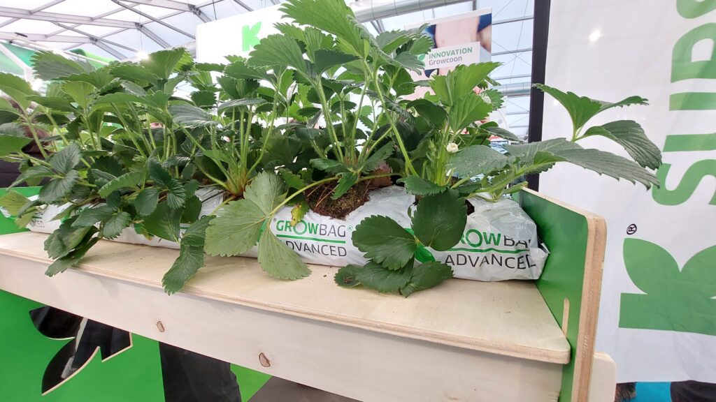 Minél természetesebben: komposztálható, lebomló, fenntartható termékek kertészeknek