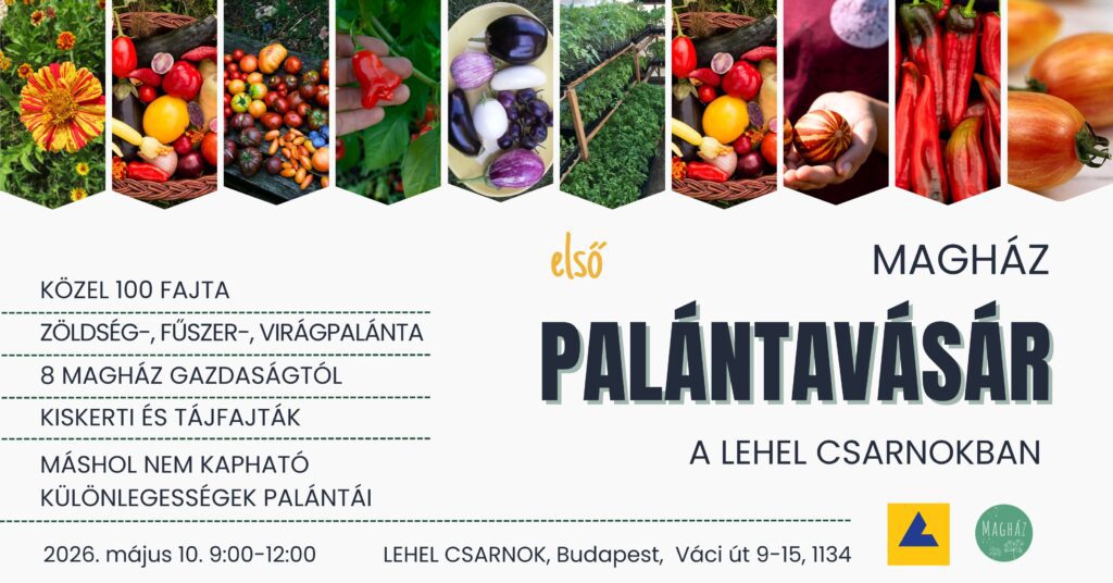 Tájfajta palánták vására