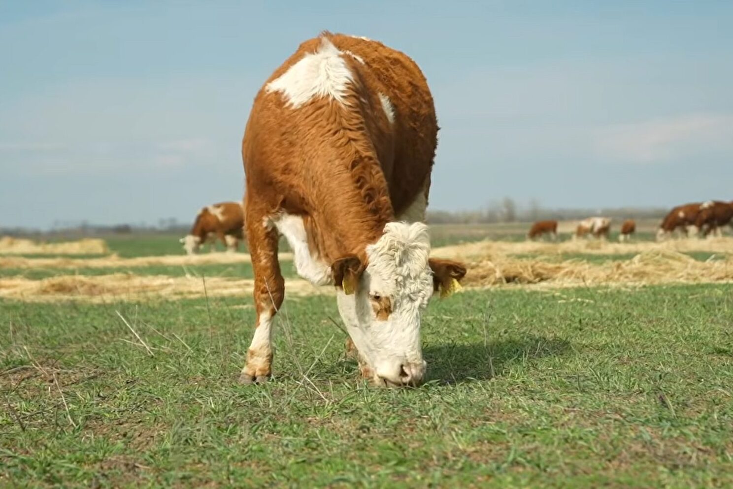 Konvencionális helyett regeneratív szemlélet – eredmények számokban