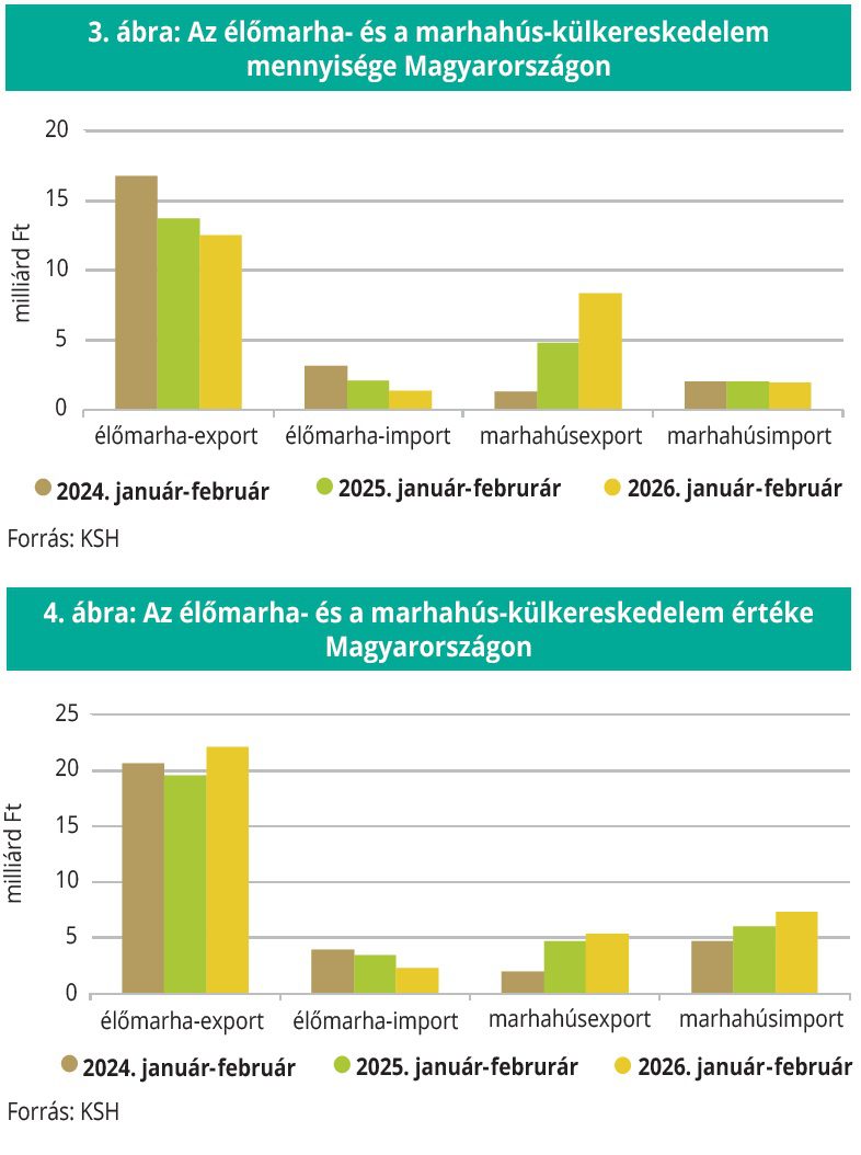 marhahus_kulkereskedelem_2024-26