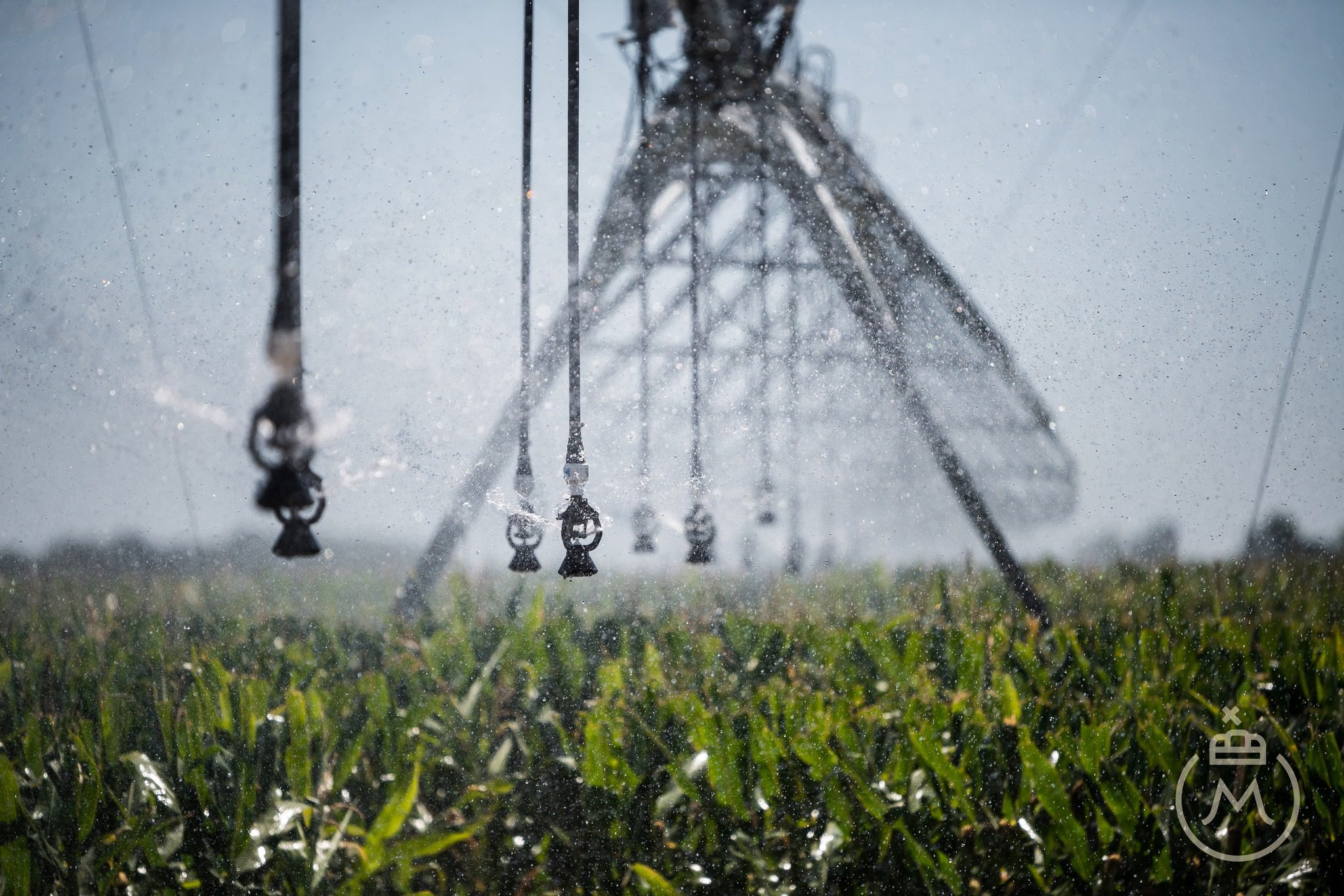 Mezőhegyesi Nemzeti MÉnesbirtok és Tangazdaság Facebook öntözörendszer