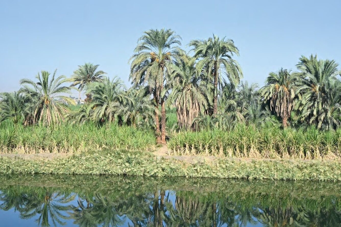 Ókori kertek: Egyiptom és Mezopotámia