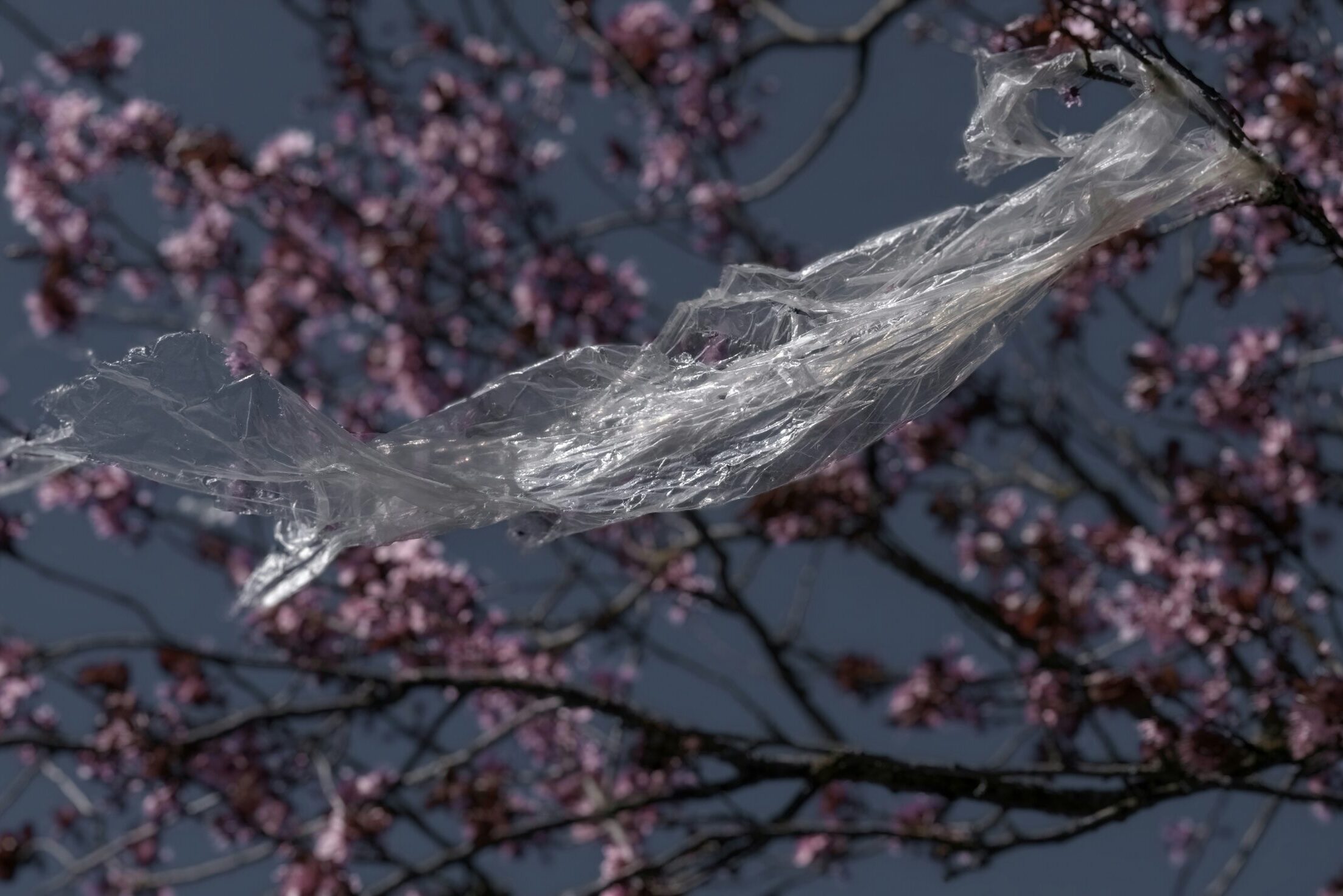 Németország hulladékmentes jövője