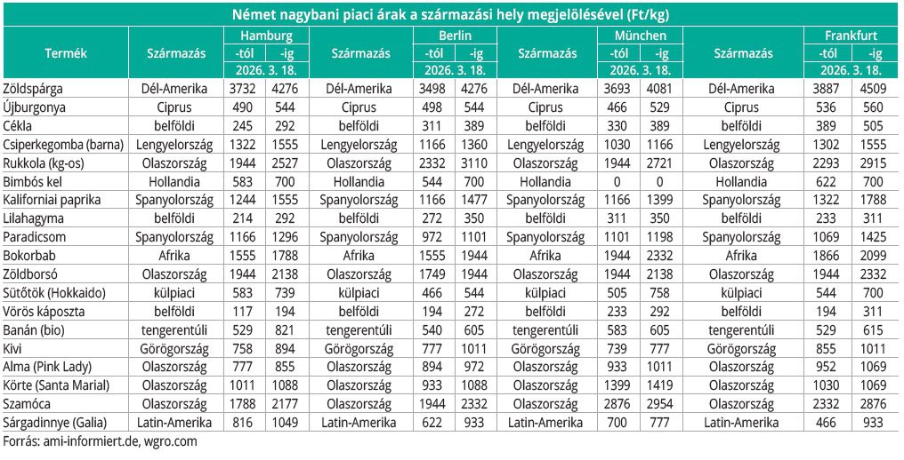 nemet_nagybani_2026_15