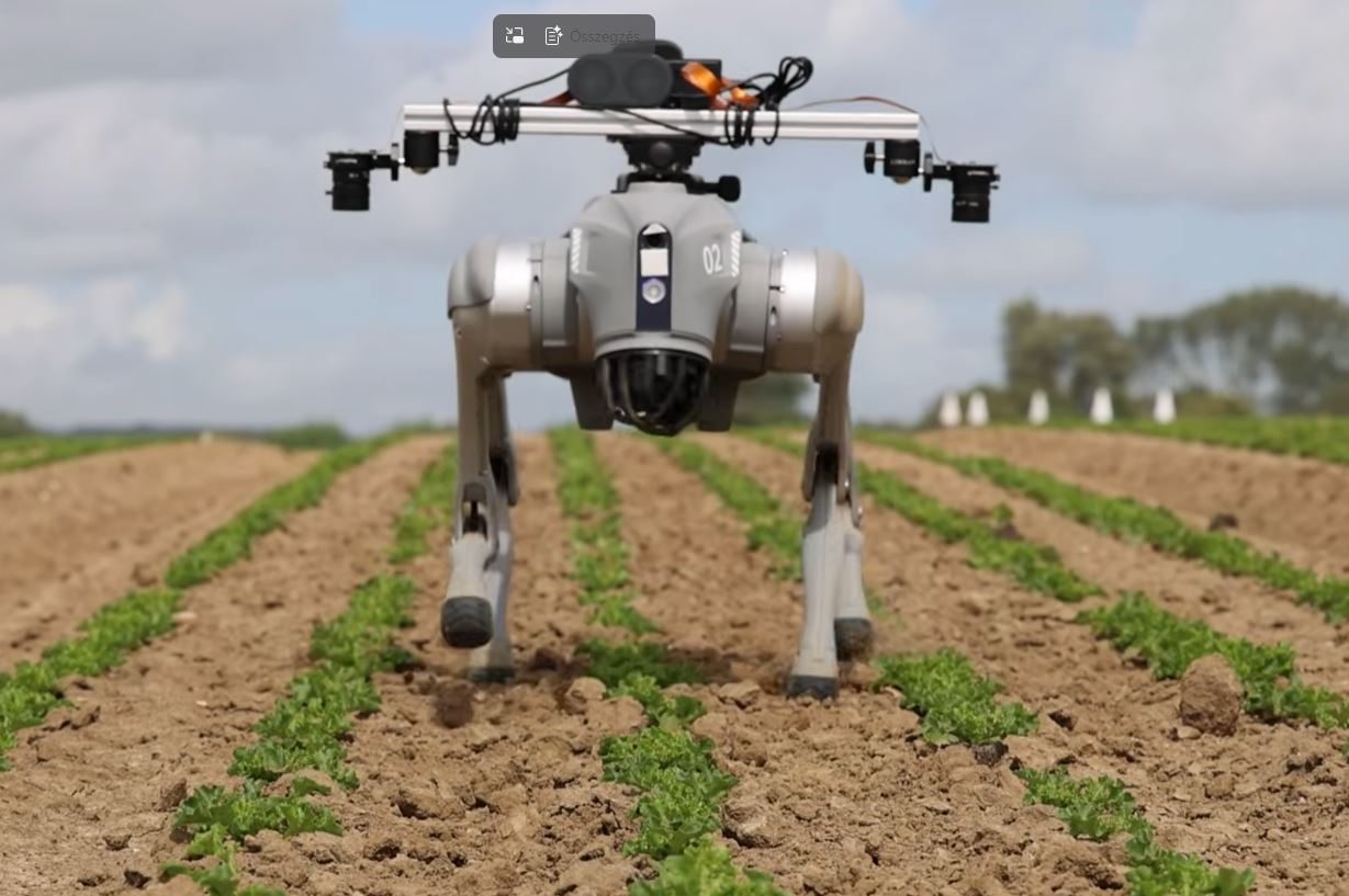 Robotkutya figyeli a növényeket a szántóföldön