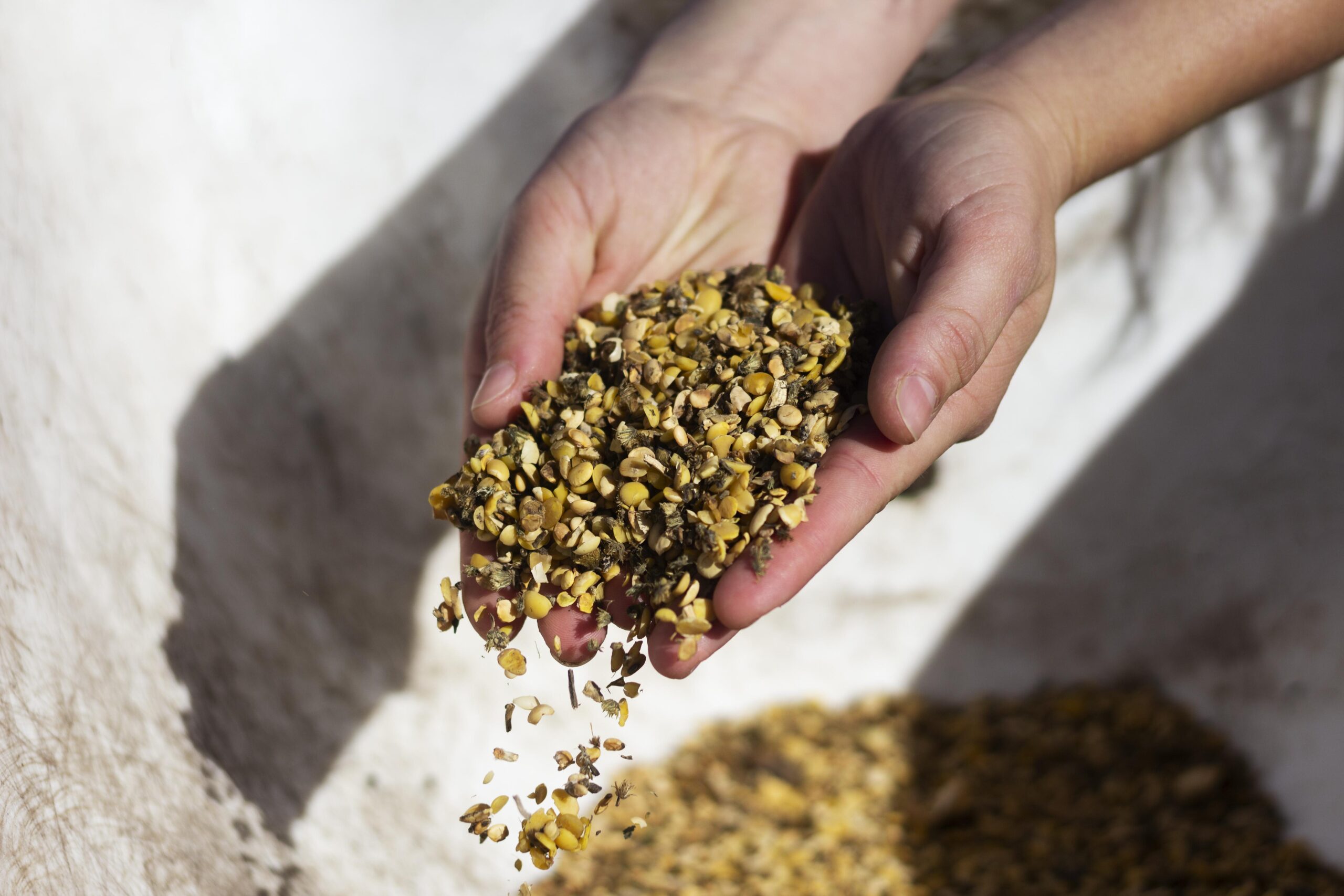 takarmány takarmánykeverék