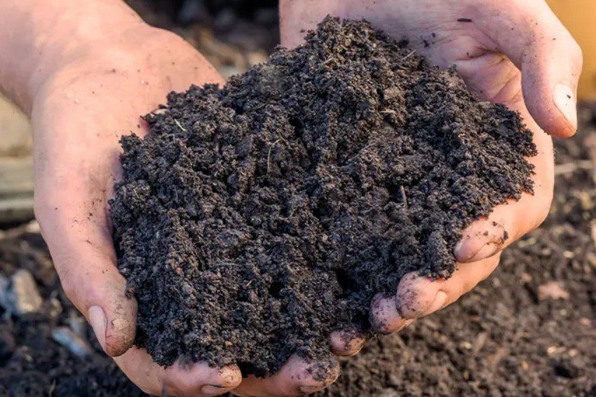 A talaj az élet forrása