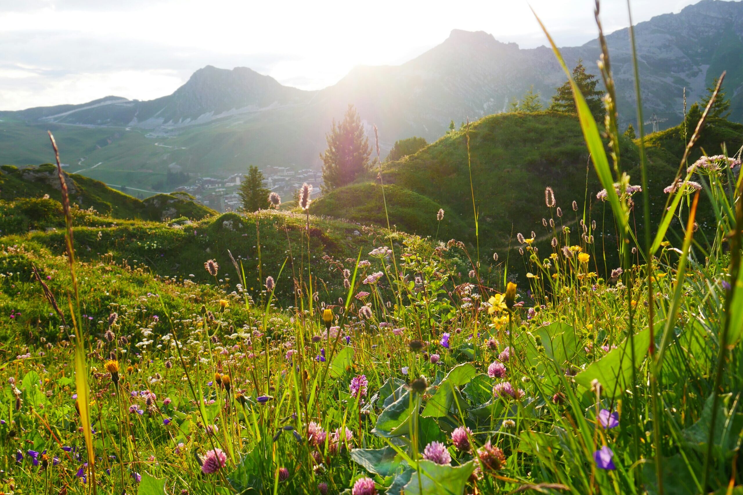 Agrometeorológia: száraz és hideg marad az idő