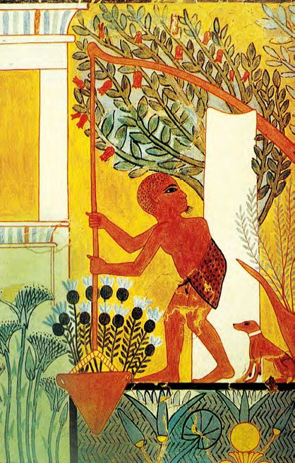 Ókori egyiptomi vízemelő szerkezet (saduf)Ipuy sírkamrájának falfestményén (Kr. e. 13. század, Deir-el-Medine, Théba)