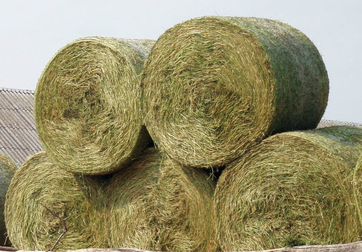 A bála lapján látható, hogy milyen géppel készítették. A laza csillag alakú mag mutatja,hogy fix kamrás volt a bálázó