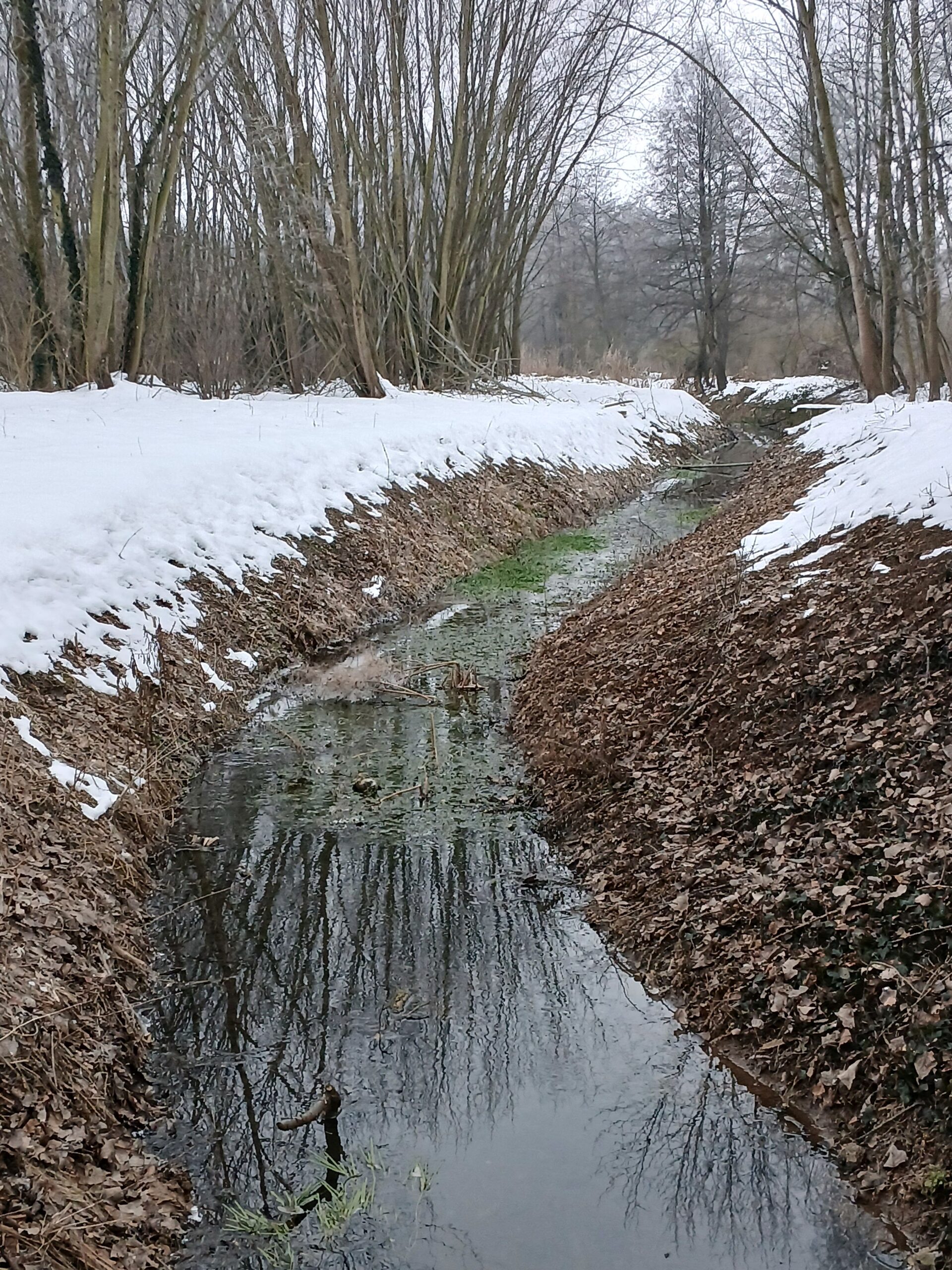 Bajban vannak kis vízfolyásaink