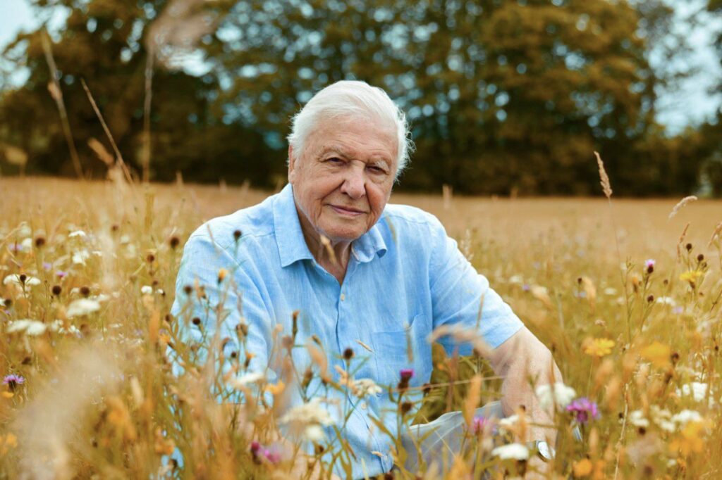 Attenborough és a haszonállatok