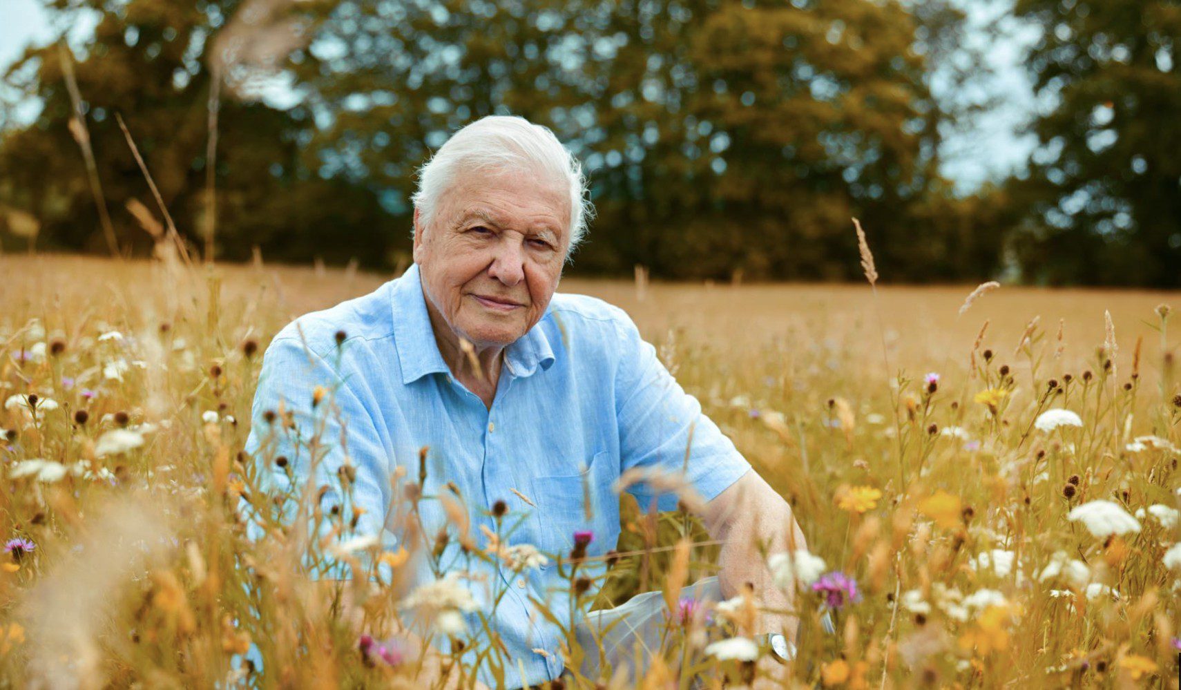 David Attenborough a természet hangja ma100 éves. Így vélekedik a mezőgazdaságról