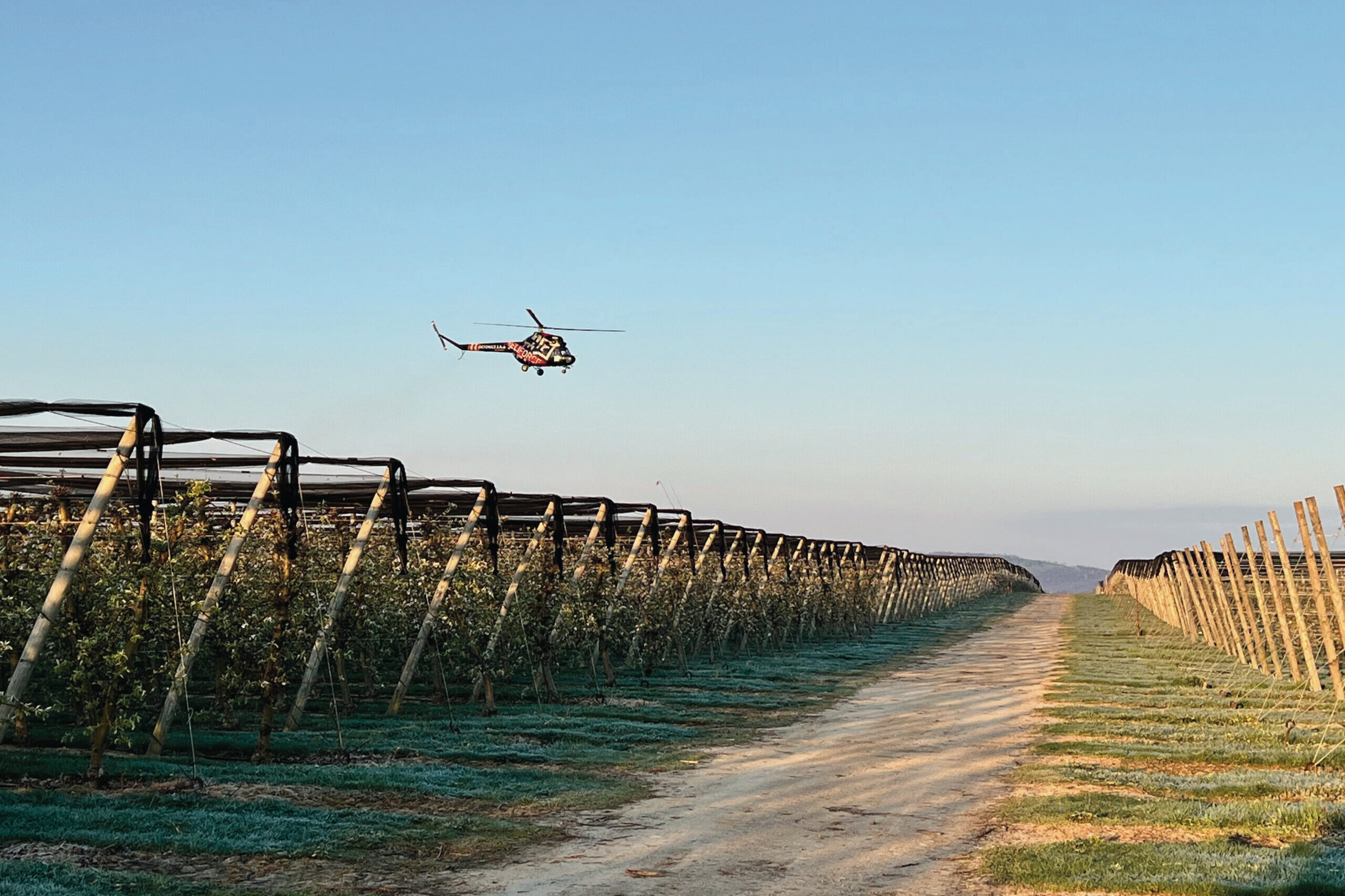 Helikopterrel a tavaszi fagyok ellen