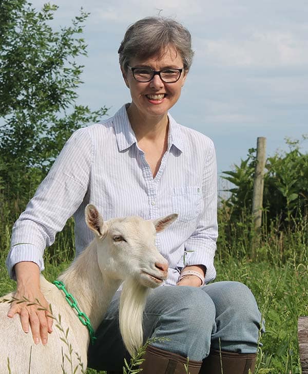 Ahol az étel kezdődik