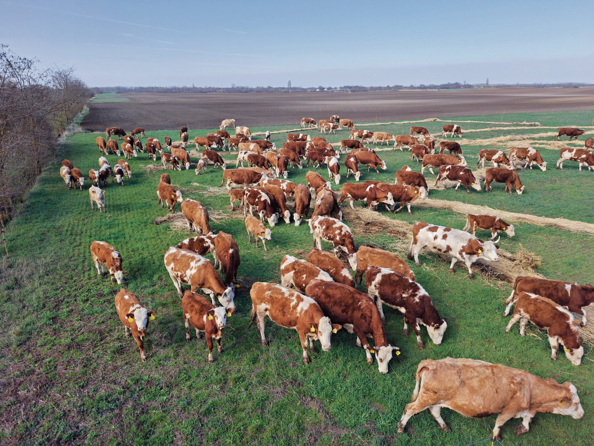 St. Imrei Regeneratív Farm
