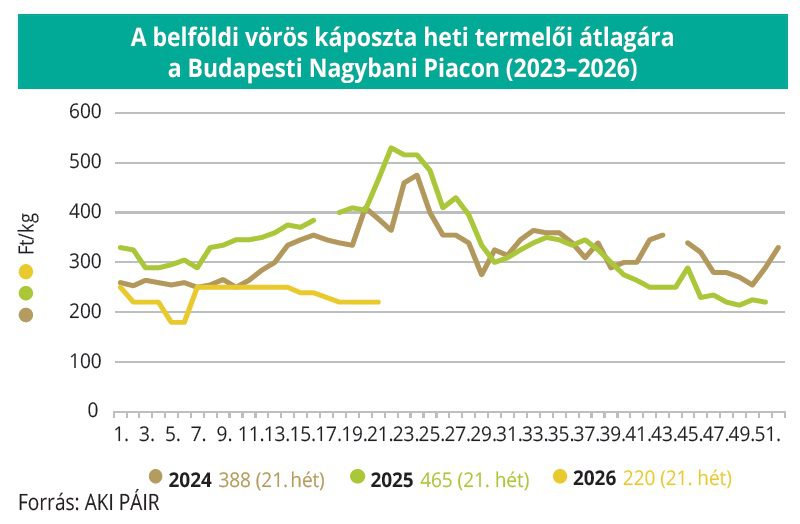 belfoldi_voroskaposzta_aki_2023-26