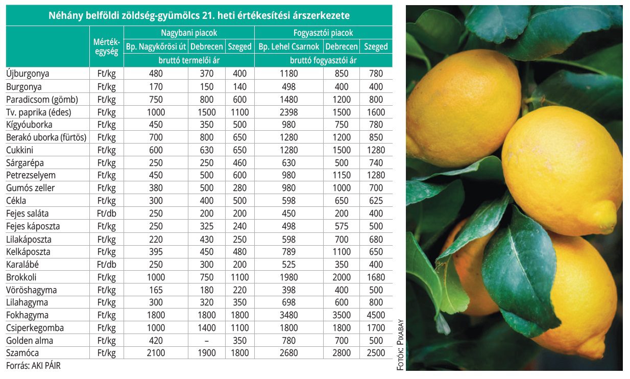 belfoldi_zoldseg_gyum_2026_21het