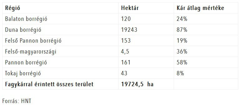 borrégiók fagykár